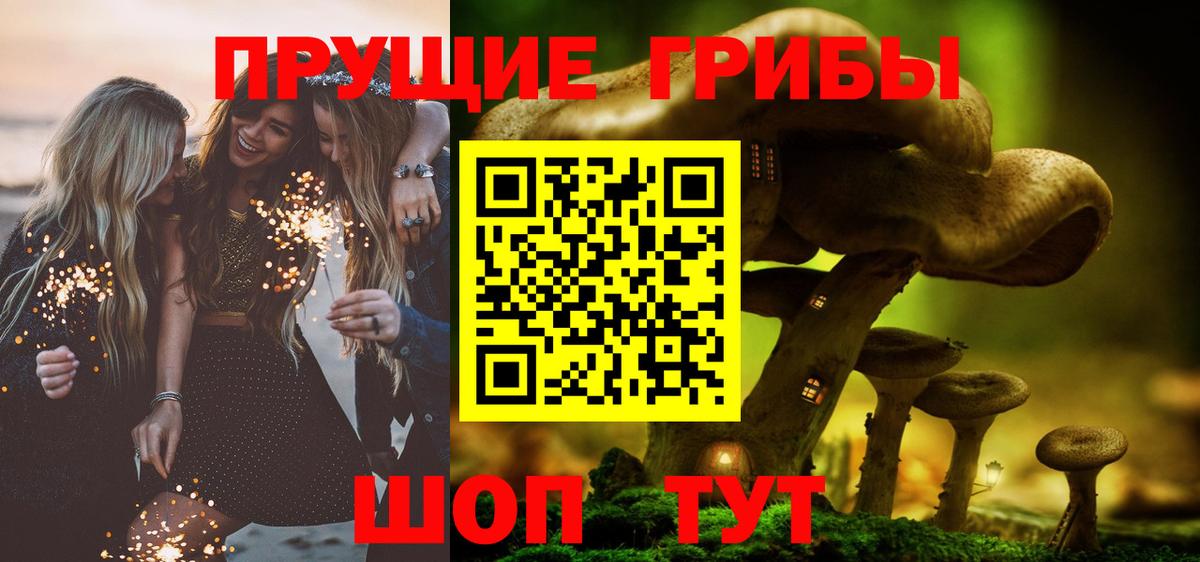 Скопин  Псилоцибиновые грибы Psilocybine cubensis  Вход с VPN 