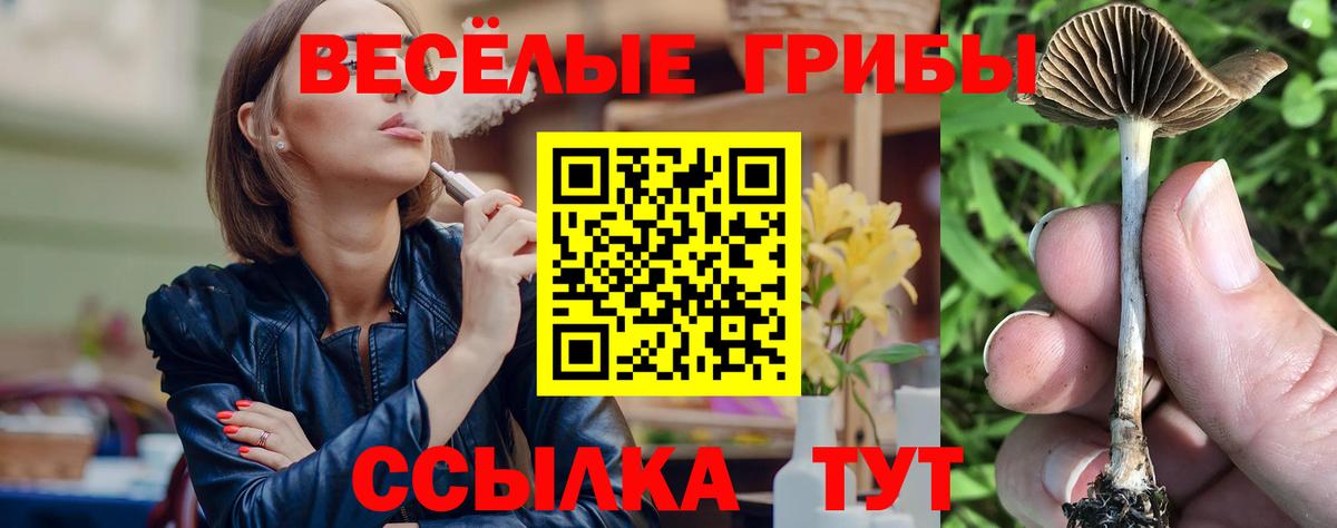 Галлюциногенные грибы Psilocybine cubensis Скопин